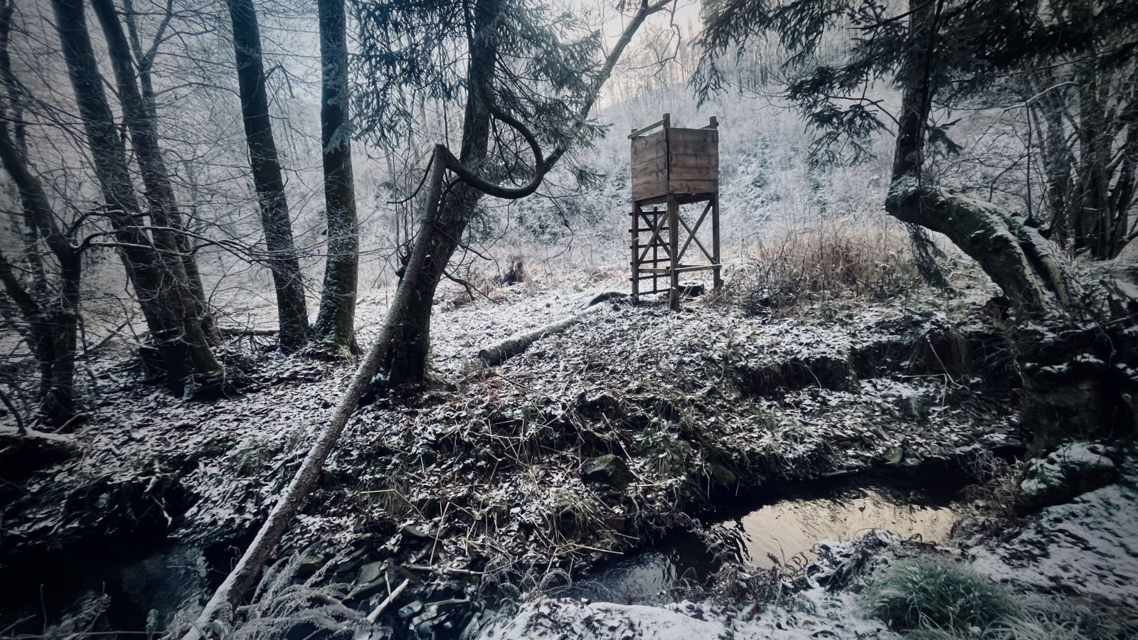 Winterzeit ist Jagdzeit. Ein Drückjagdstand im Winterwald.