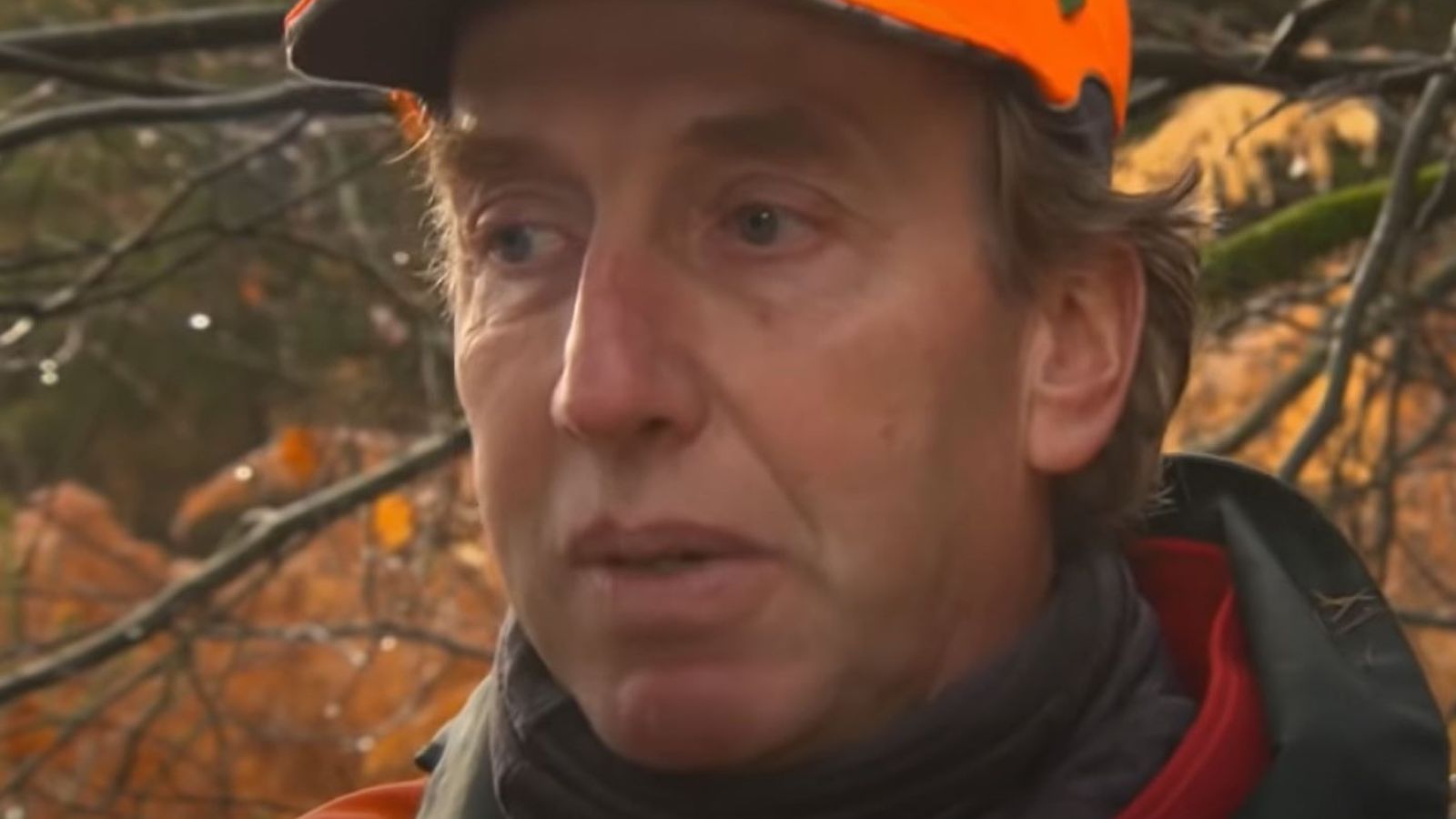 Bild zum Thema: Appell zur Schwarzwildbejagung