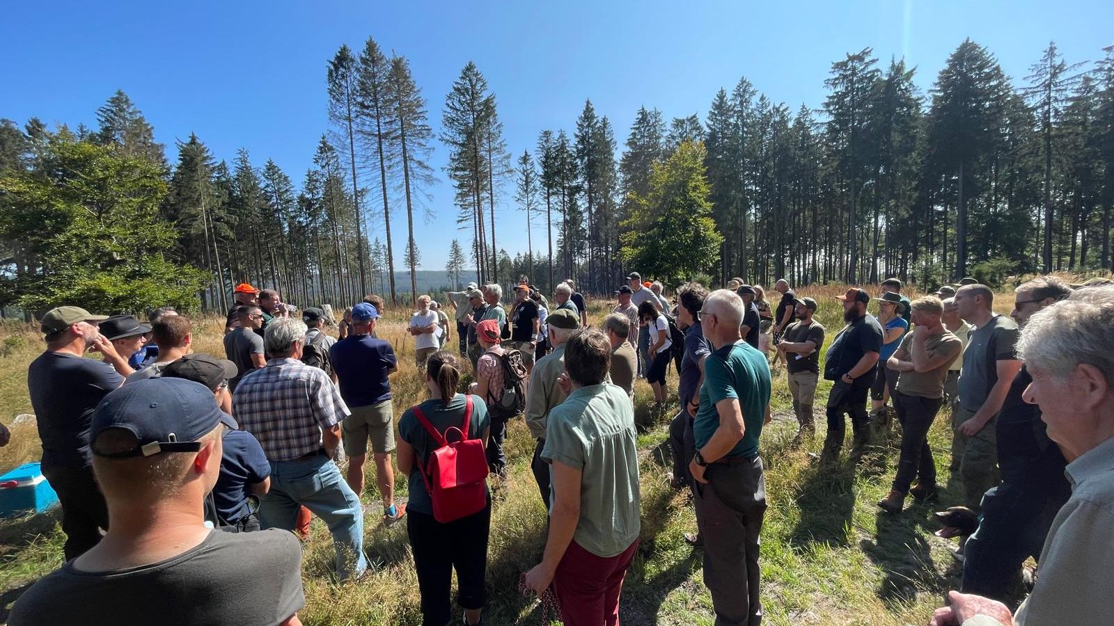 Bild zum Thema: Großes Interesse an Wald und Jagd