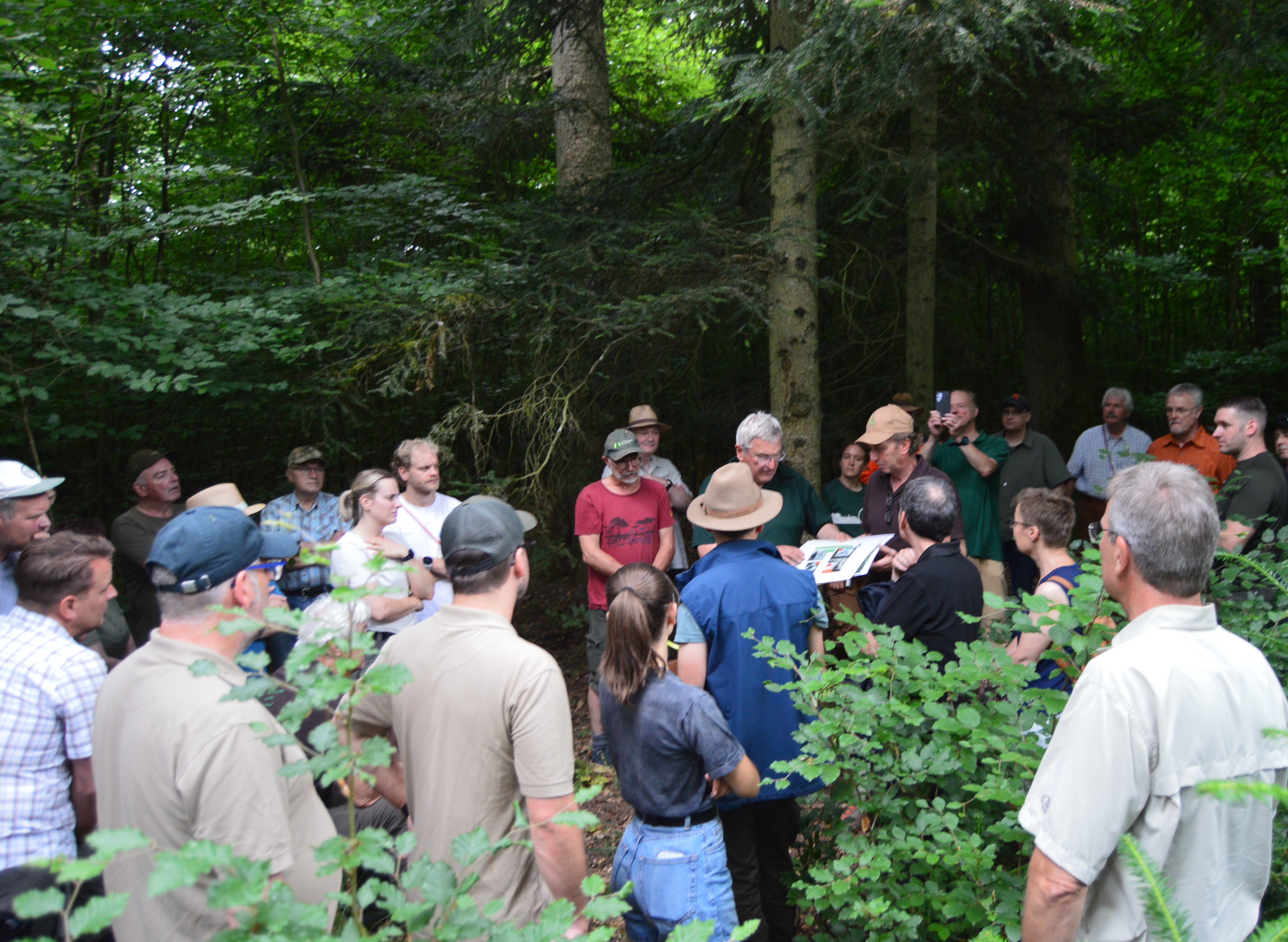 Bild zu: So geht Dauerwald: Unterwegs mit Michael Fohl in Hochpochten