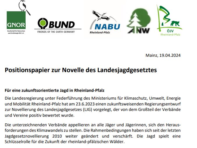 Bild zu: Unsere Positionen zur Jagdrechts-Novelle