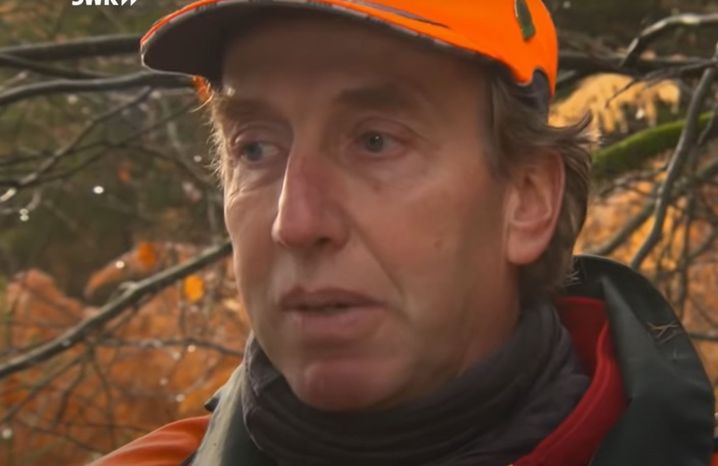 Bild zu: Appell zur Schwarzwildbejagung Bild zu: Appell zur Schwarzwildbejagung