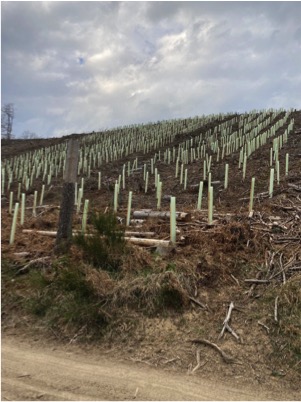 Bild zu: Das sagt der ÖJV zur Novelle des Landesjagdgesetzes: 